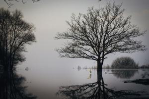 Lac de Grand-Lieu