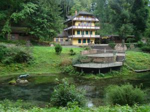 Le puit du loup