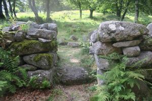 Les cases de Cotteughes