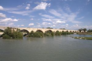 Pont de Pont-Saint-Esprit